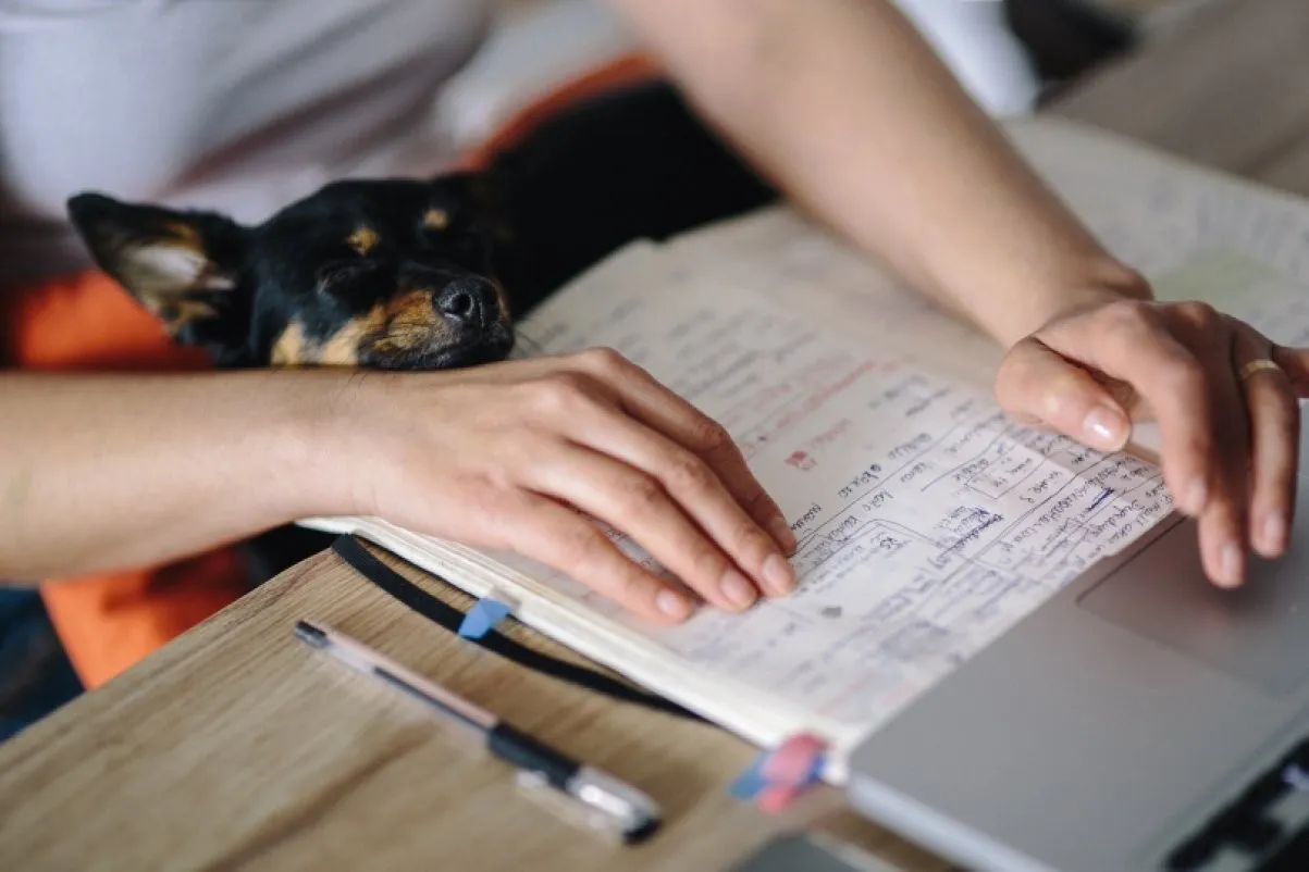 40031 cover letter formatting